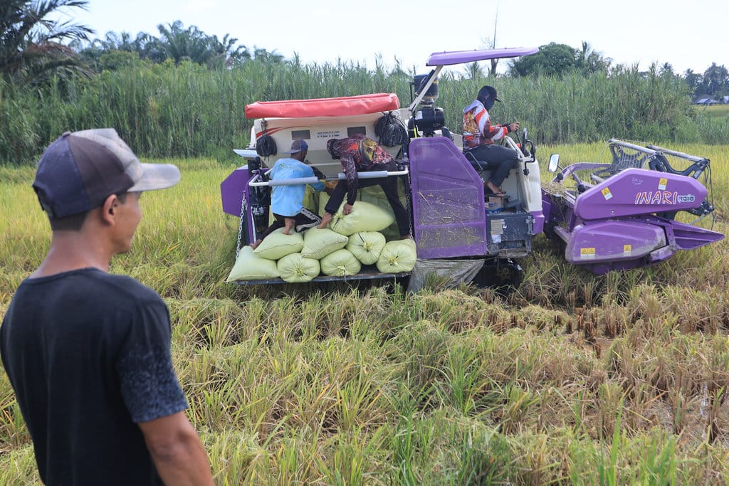 Jumlah serapan gabah kering panen di Aceh Barat
