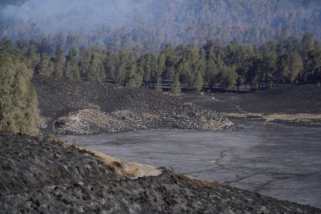Dampak kebakaran di Taman Nasional Bromo Tengger Semeru