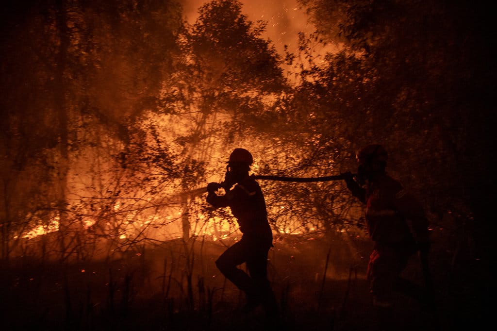 Urgensi Lembaga Khusus Penanggulangan Kebakaran Hutan