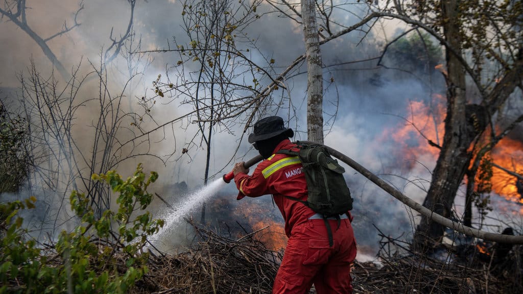 Personel Manggala Agni Daops Sumatera XII-Muara Tebo berusaha memadamkan kebakaran lahan di Desa Teluk Kecapi, Kecamatan Pemulutan, Kabupaten Ogan Ilir (OI), Sumatera Selatan, Sabtu (5/9/2026). Berdasarkan pantauan satelit NOAA20 yang dipantau melalui aplikasi Sipongi Kementerian Kehutanan (Kemenhut) terdapat 1.319 titik panas yang terdeteksi pada Sabtu (5/9). ANTARA FOTO/Nova Wahyudi/agr Penanganan kebakaran lahan di Ogan Ilir