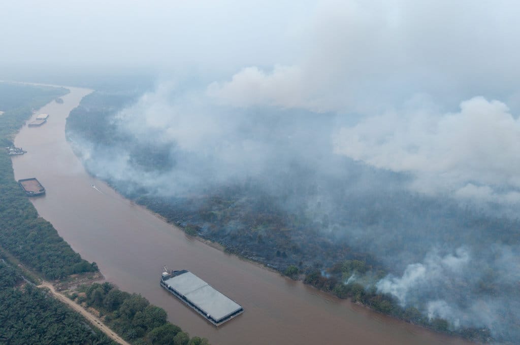 Pola Kebakaran Lahan Sumsel Berulang, Petugas Duga Ada Kesengajaan