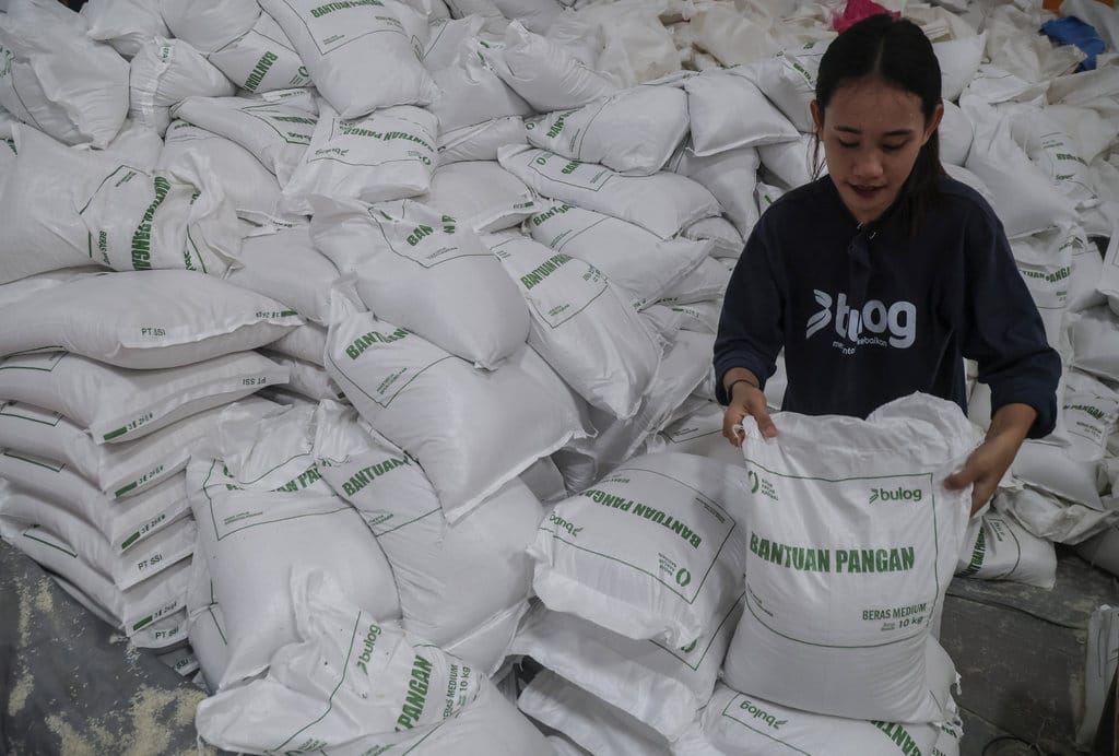 Pemerintah siapkan bantuan pangan beras subsidi hadapi kemarau