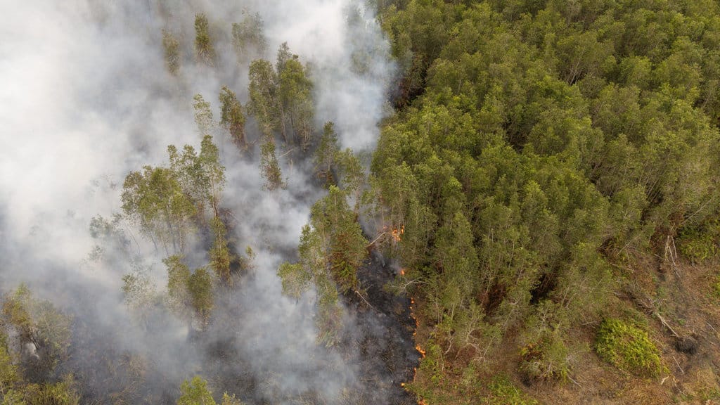 Upaya penanganan kebakaran hutan PKG jalur 21 Padang Sugihan