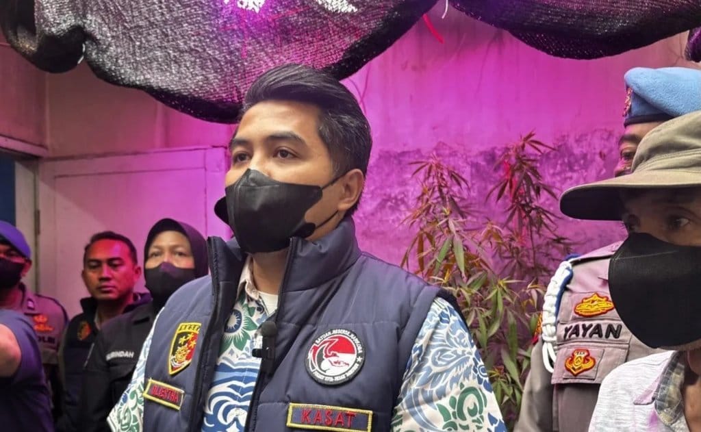 ASN Kemenpupera Diciduk Polisi Terkait Kasus Kebun Ganja
