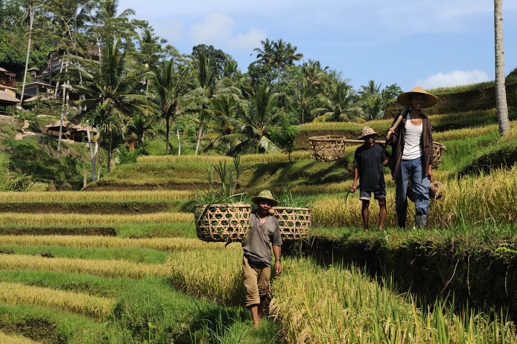 Reforma Agraria untuk Kesejahteraan Petani