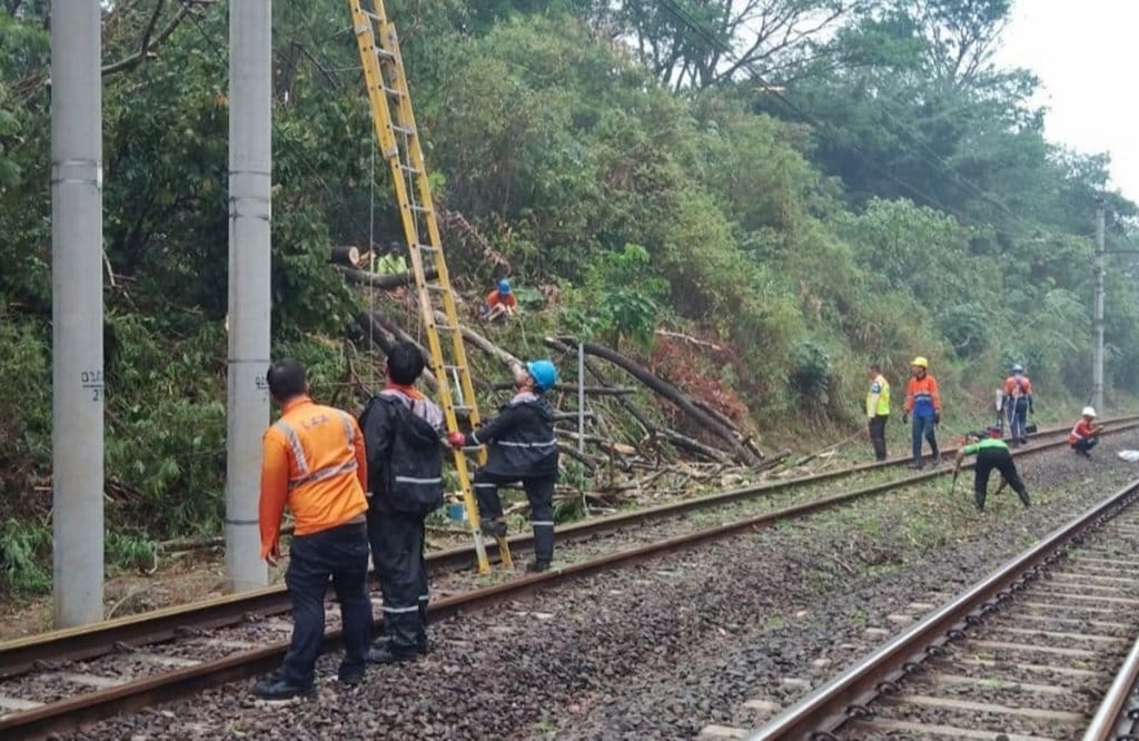 KRL Terbatas Akibat Pohon Tumbang