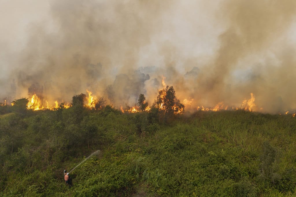 Kebakaran lahan di Pemulutan