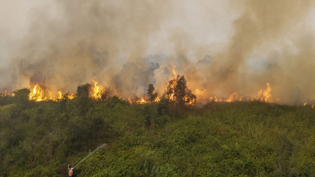 Kebakaran lahan di Pemulutan