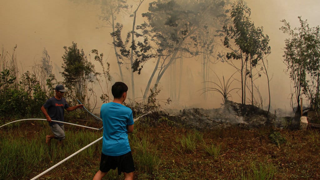 Karhutla di Palangka Raya meluas