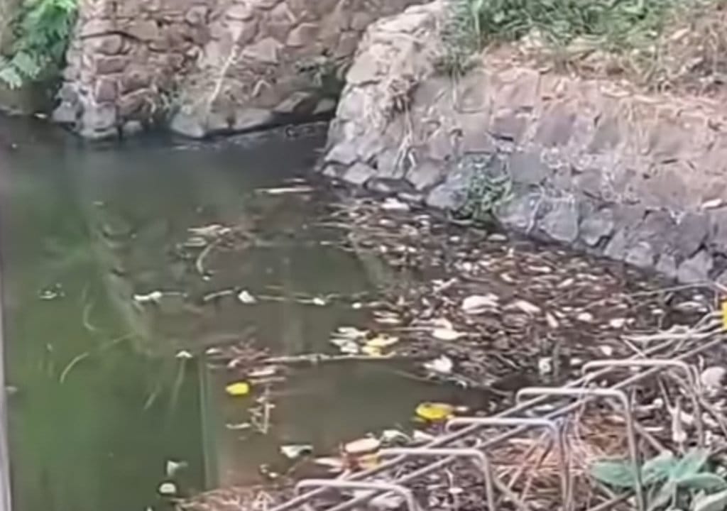 Warga di Tangsel Muntaber Massal