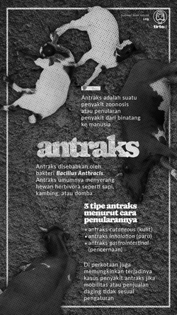 Pengentasan Antraks di Gunungkidul Butuh Solusi Holistik