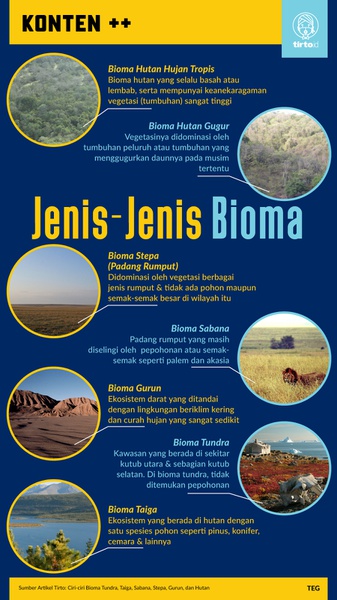 Mengenal Jenis Bioma: Tundra, Taiga, Sabana, Stepa, hingga Gurun