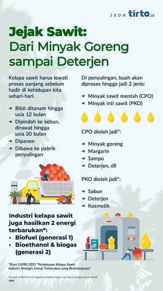 Jejak Sawit Dalam Hidup, Dari Dapur Hingga Kamar Mandi