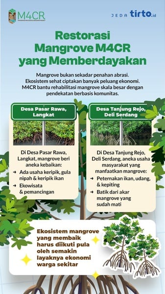 Cerita Baik dari Hutan Mangrove Langkat dan Deli Serdang