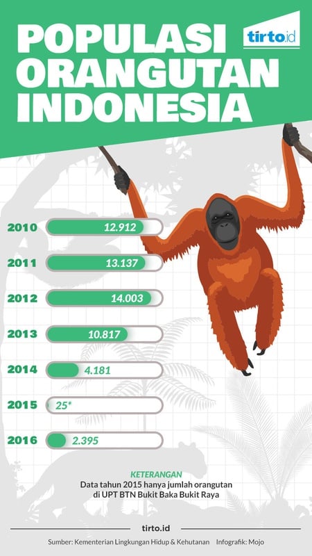 Populasi Orangutan Indonesia