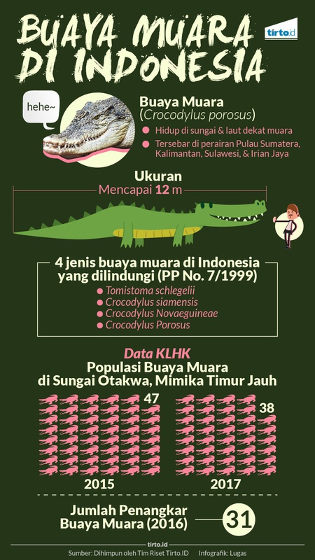 Buaya Muara di Indonesia