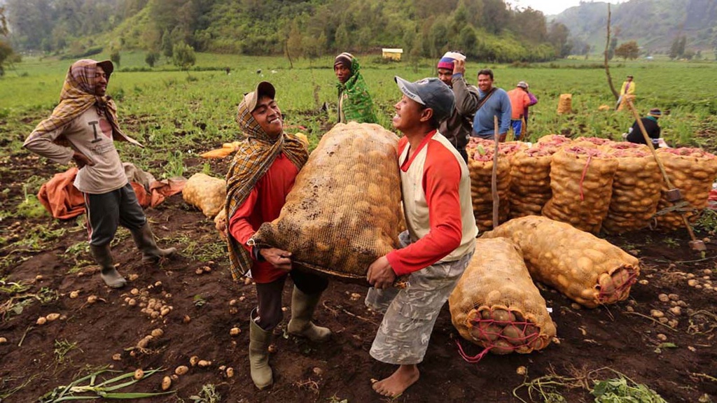 Surga Kentang Ranu Pani