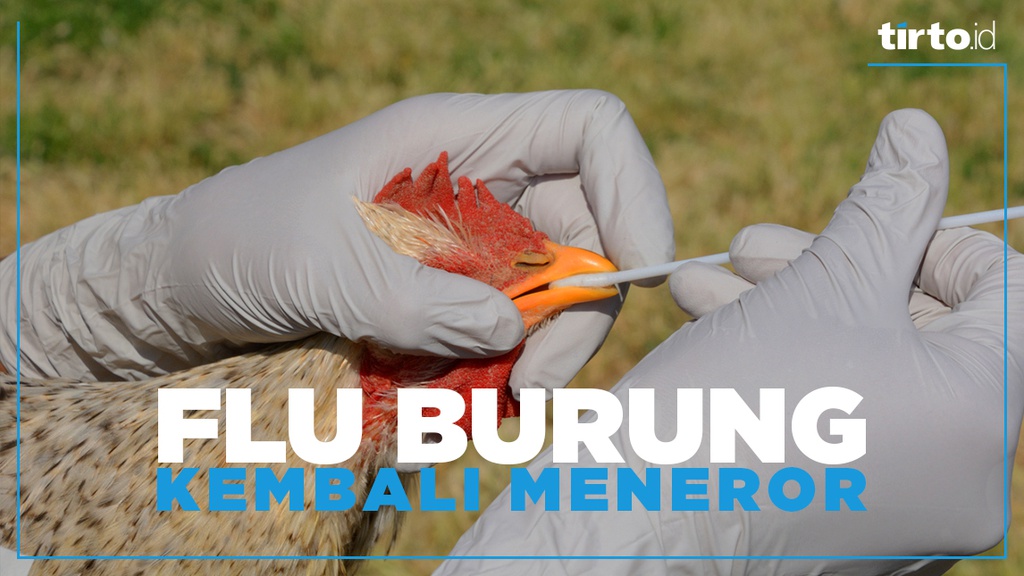 Waspada Flu Burung