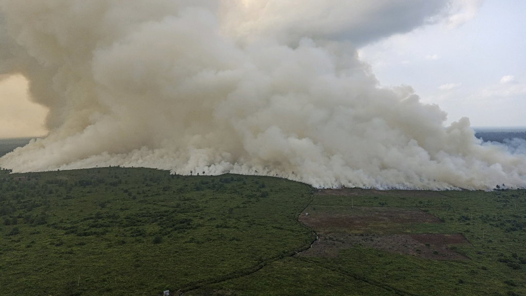 Kebakaran Hutan dan Lahan - Tirtografi Kebakaran Hutan dan Lahan - Tirtografi