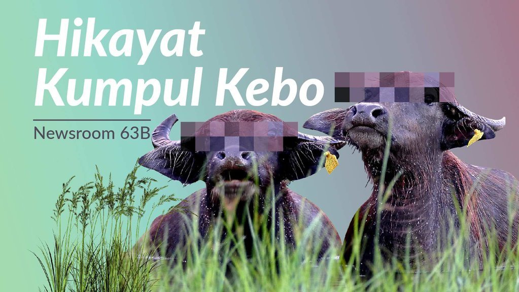 Hikayat Kumpul Kebo