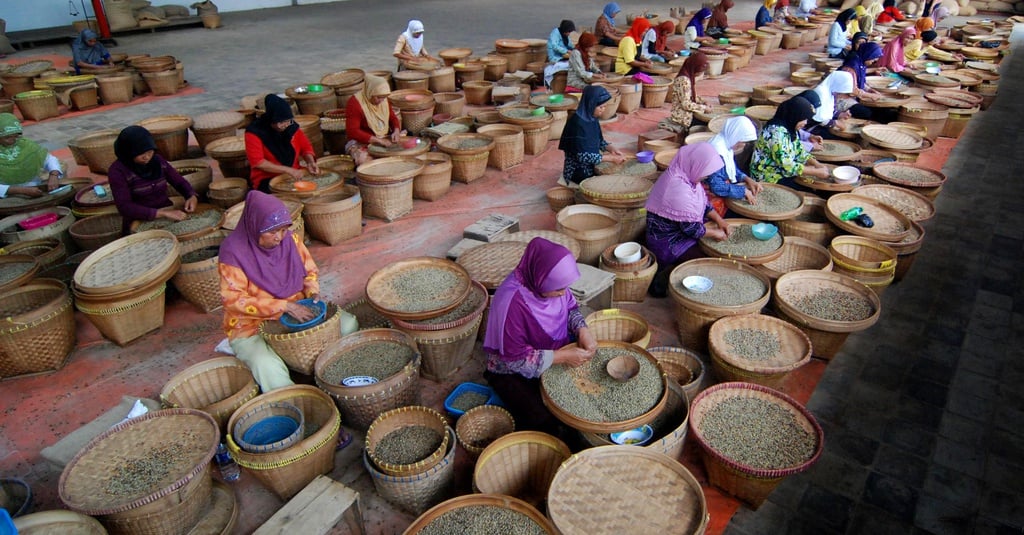 Petani Kopi Robusta Lampung Harap Harga Kopi Rp 20 Ribu/kg ...