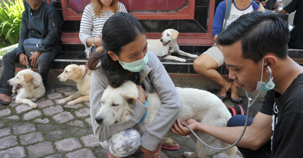 Rabies: Kenali Virus dan Gejalanya