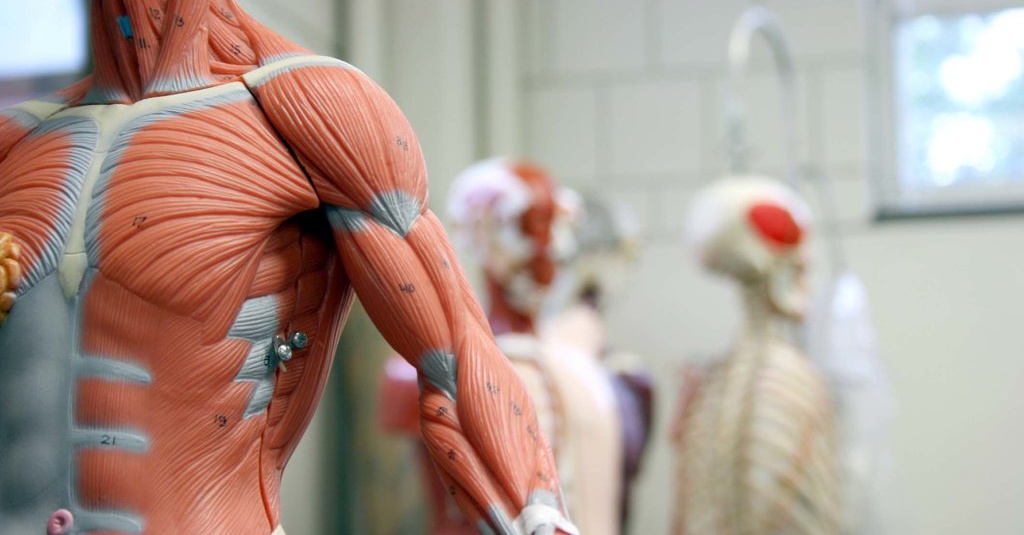 Menanti Produksi Listrik Dari Aliran Darah Manusia Tirto Id