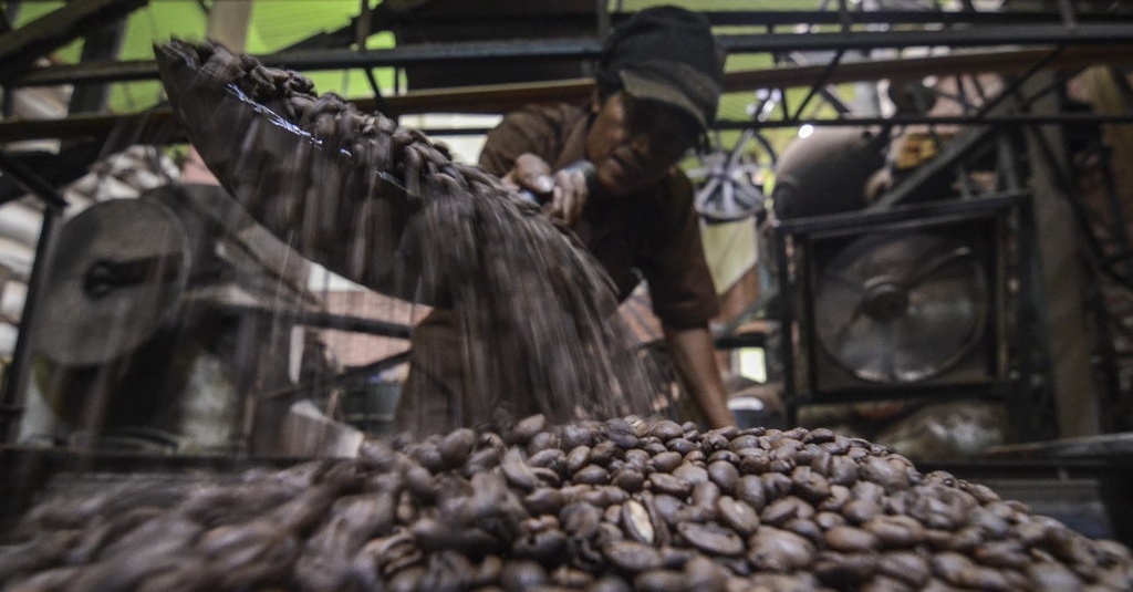 Mengenal Jenis Kopi Asli Indonesia Dari Gayo Hingga Sidikalang Tirto Id
