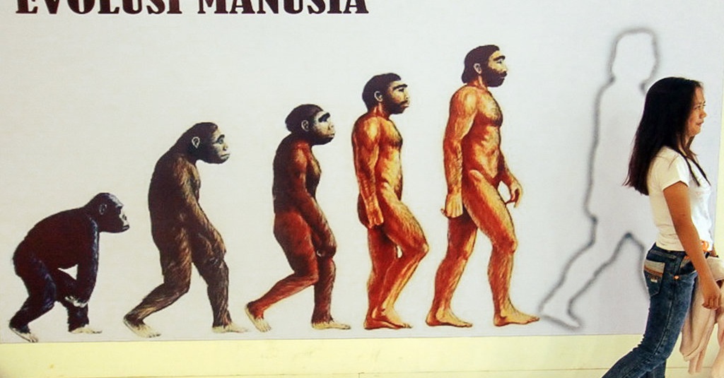 Manusia Purba Tirto Id