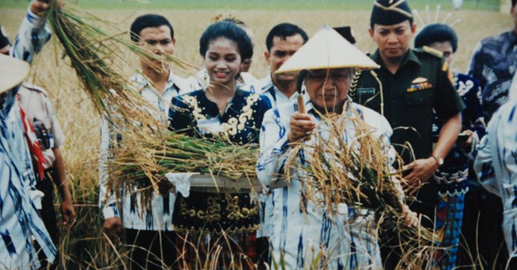 Swasembada Beras Ala Soeharto Rapuh Dan Cuma Fatamorgana