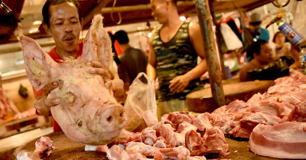 Wabah ASF di Cina & Potensi Pasar Ekspor Daging Babi bagi ...