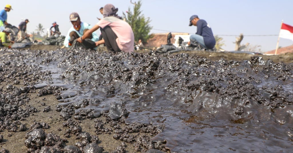 7800 Ikan Air Laut Karawang HD