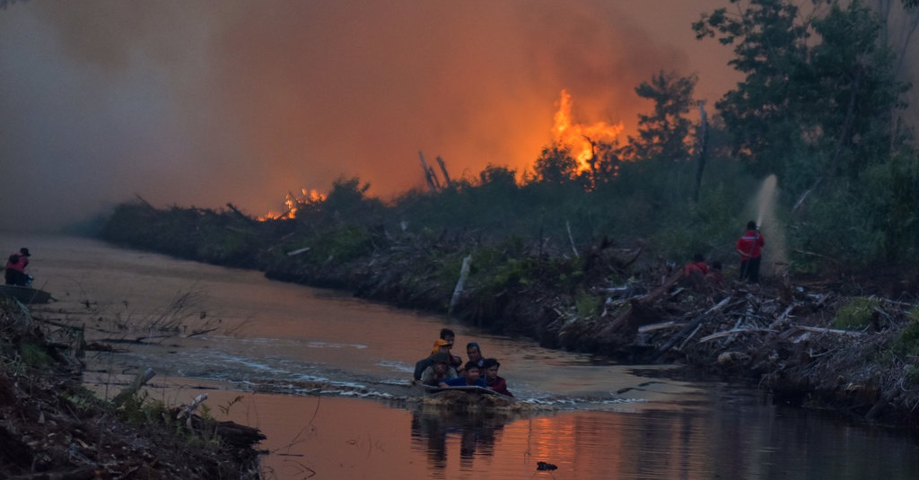 Peta Kebakaran Hutan Indonesia