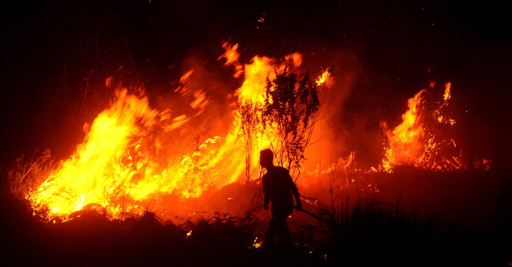Kebakaran Hutan dan Lahan di Sumatera - Tirto.ID
