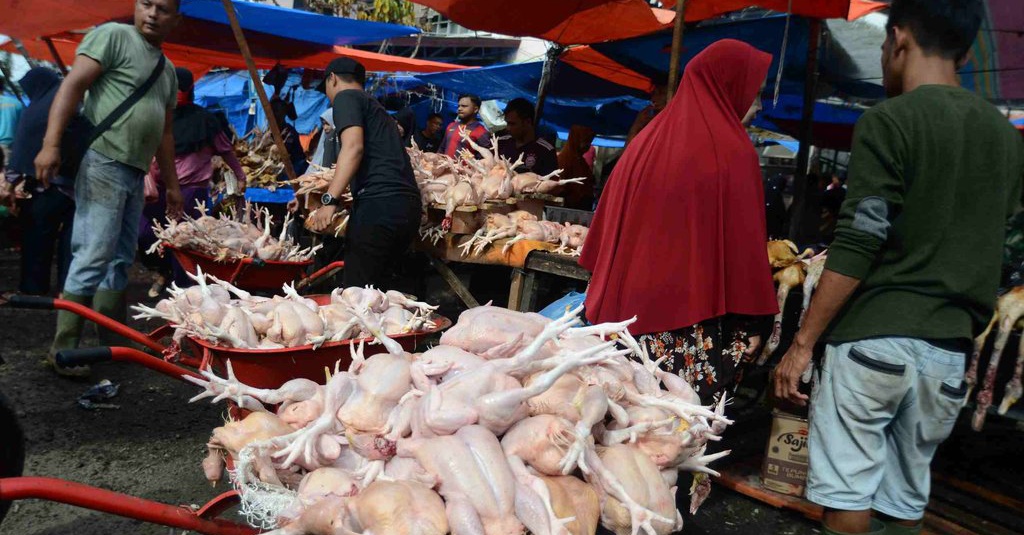 Basos Ayam dan Telur Mulai Dibagikan Besok