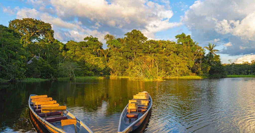 Kebakaran di Hutan Amazon: Bukti Bahayanya Populisme Sayap 