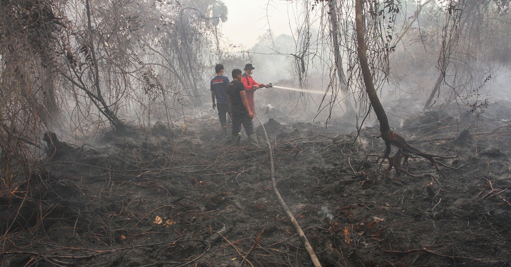 Apa Itu Karhutla Yang Sebabkan Kabut Asap Di Sumatera Kalimantan
