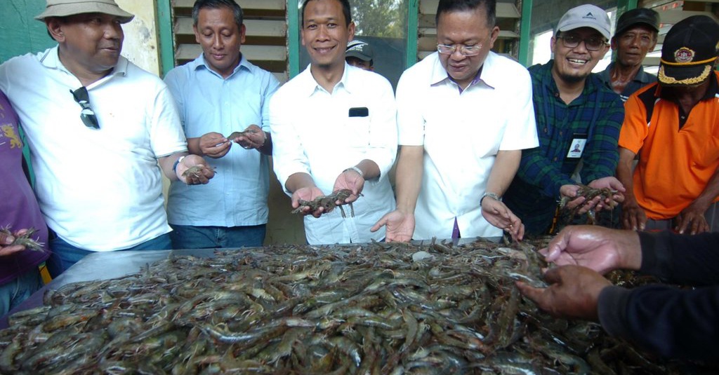 3 Manfaat Udang Bagi Kesehatan Dan Kandungan Gizinya