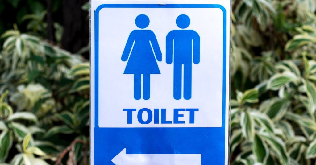 Toilet, Tempat Menggali Inspirasi yang Belum Dinikmati Semua Orang