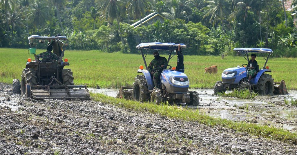 Berita Revolusi Hijau Tirto Id Berita Revolusi Hijau Tirto Id