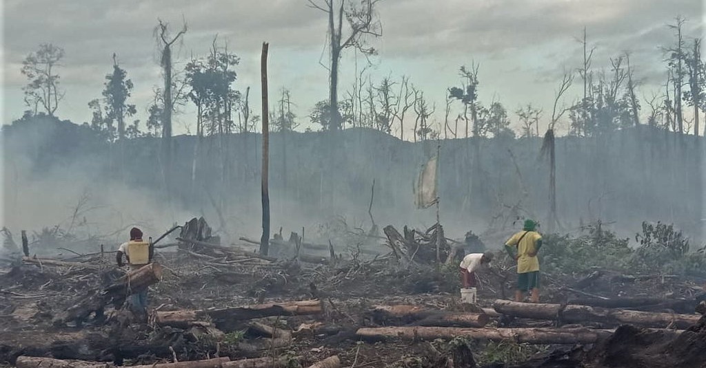 Indonesia Masih Darurat Karhutla Tirto Id Indonesia Masih Darurat Karhutla Tirto Id