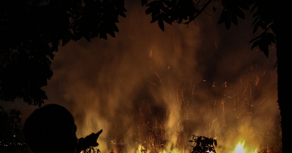 Luas Lahan Terbakar di Riau sejak Januari 2023 Capai 956 Hektare