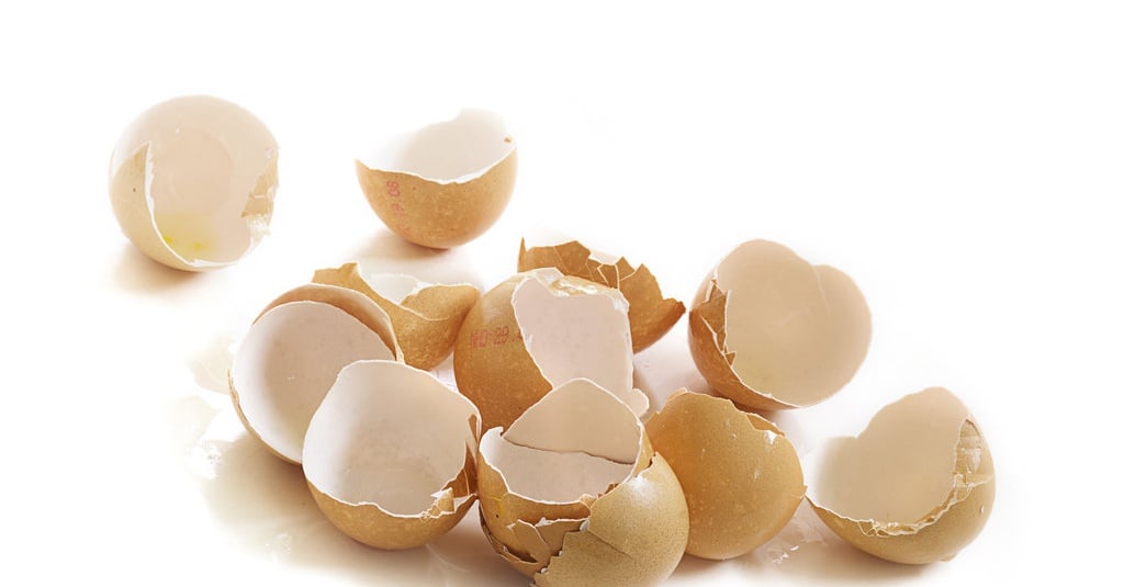 Ketahui Manfaat  Cangkang  Kulit Telur  untuk Pupuk Tanaman 