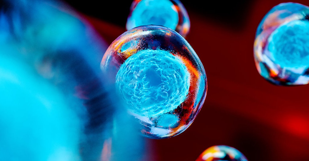 Mengenal Sel Pengertian Penemu Pertama Hingga Jenis Contohnya