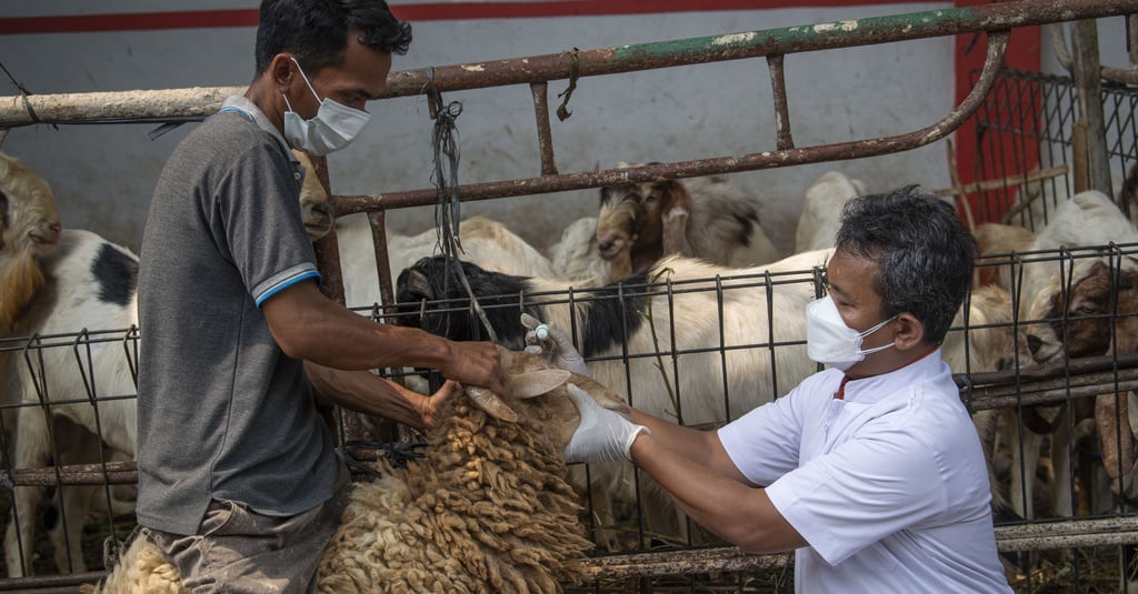  Sejarah Qurban  Idul Adha dan Pengertiannya menurut Syariat 