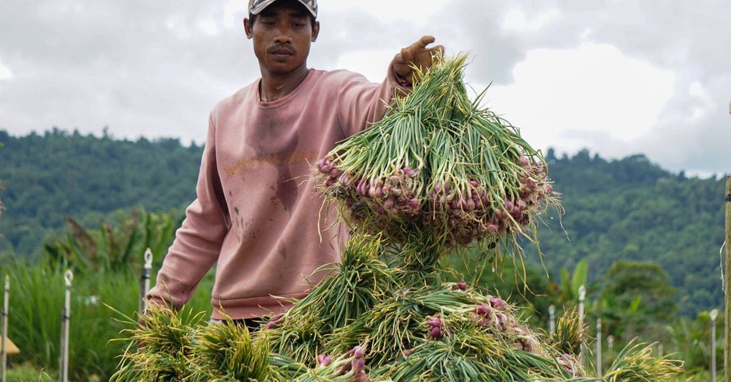 Petani Minta Pemerintah Waspada Soal Lonjakan Biaya Produksi