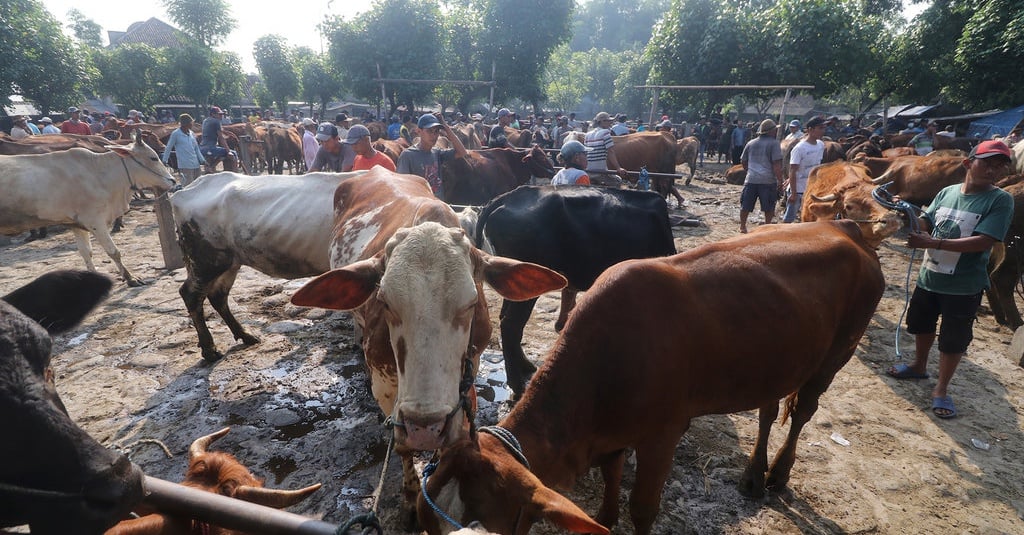 Mentan Minta Pengusaha Jamin Kesehatan Ternak Sebelum Dikonsumsi