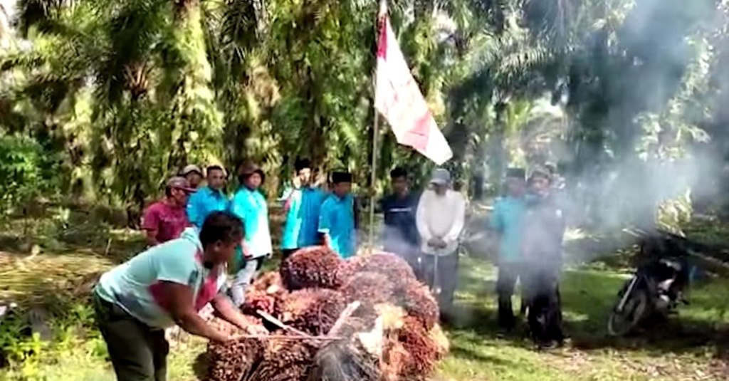 Peremajaan Sawit Rakyat Mahal, Butuh Rp65 Juta per Hektare