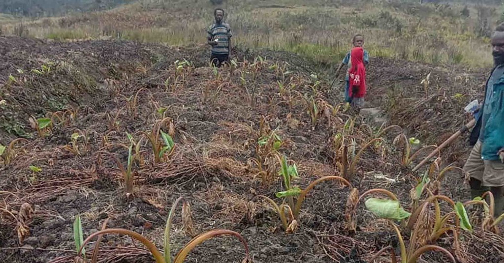 Kekeringan di Papua Tengah Bukan karena Tidak Ada Hujan