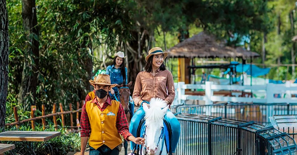 Lokasi & Harga Tiket Dairyland Farm Theme Park Puncak saat Libur